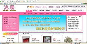 攜手構(gòu)建卓越商品銷售網(wǎng)站 任務(wù)交流與開(kāi)發(fā)策略指南